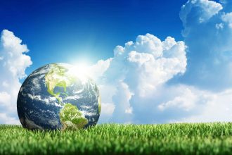 The Health of Trees and The Natural World Is Closely Linked To Our Own State of Health 1