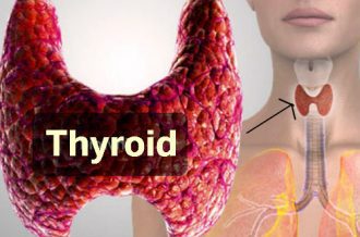 Thyroid