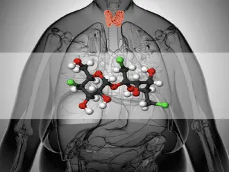 thyroid_splenda_sucralose_weight_gain