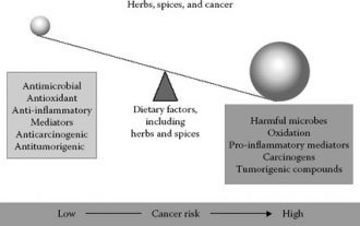 18 Spices Scientifically Proven To Prevent and Treat Cancer - Factors