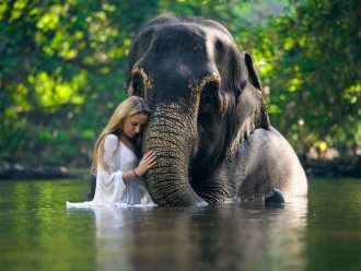 5 Lessons From The Animal Kingdom - 1