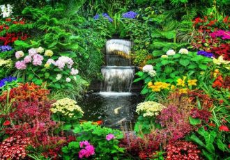 5 Lessons From The Animal Kingdom - Magic Garden