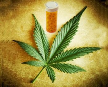Cannabis Exerts Powerful Neuroprotective Effects and May Soon Be Used in Stroke and Cardiac Emergencies