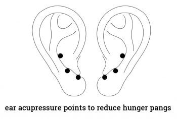 Reconnect Ancient Indian Holistic Wisdom Cause Obesity Weight - ear acupressure points to suppress hunger pangs