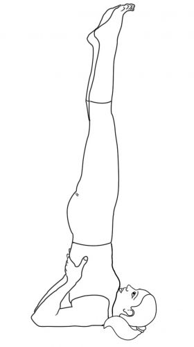 Reconnect Ancient Indian Holistic Wisdom Cause Obesity Weight - sarvangasana