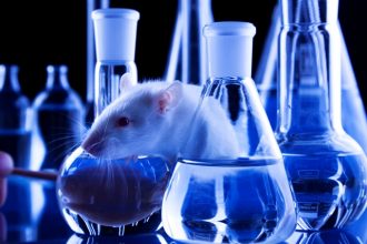 Scientific Breakthrough - Alzheimer’s Ultrasound Therapy Fully Restores Memory Function in Mice - 1