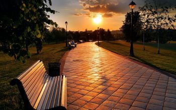 How to Follow Your Path of Light Through the Accelerating 5D Shift