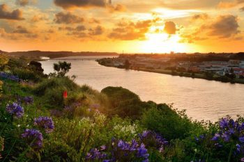 New Zealand's Whanganui River Granted Legal Personhood in Landmark Environmental Ruling