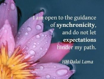 Ditching Physical Expectation in the Great 5D Shift 2