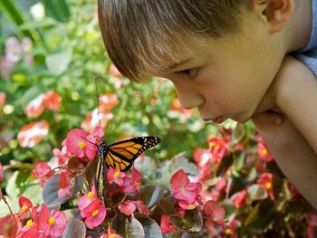 An Empowering Energetic Healing Exercise for Children