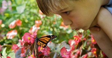 An Empowering Energetic Healing Exercise for Children