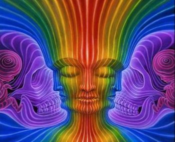 Brain Scans Show Psychedelic Drugs Really Do Spark Heightened States of Consciousness 1
