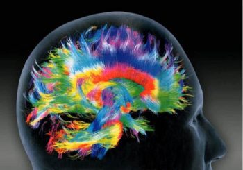 Five Different Physical Exercises That Affect The Brain In Very Different Ways
