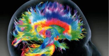Five Different Physical Exercises That Affect The Brain In Very Different Ways