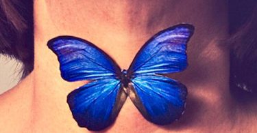 Hypothyroidism or Hashimotos