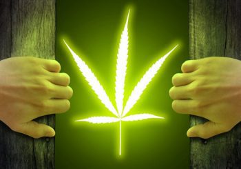 After Legalizing Weed Unemployment in Colorado Lower Than Rest of Country