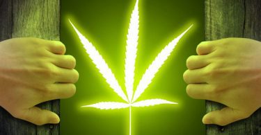 After Legalizing Weed Unemployment in Colorado Lower Than Rest of Country