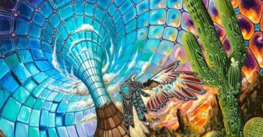 Huachuma Visionary Cactus FB