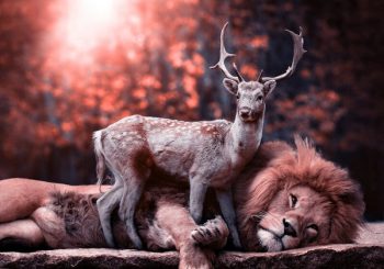 Karmic Relationship Stages